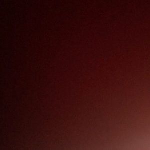 Meet your Posher, Benjamin